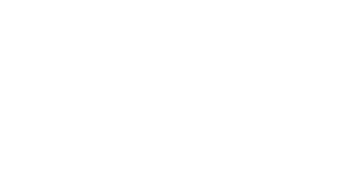 White Logo NŪR Skills